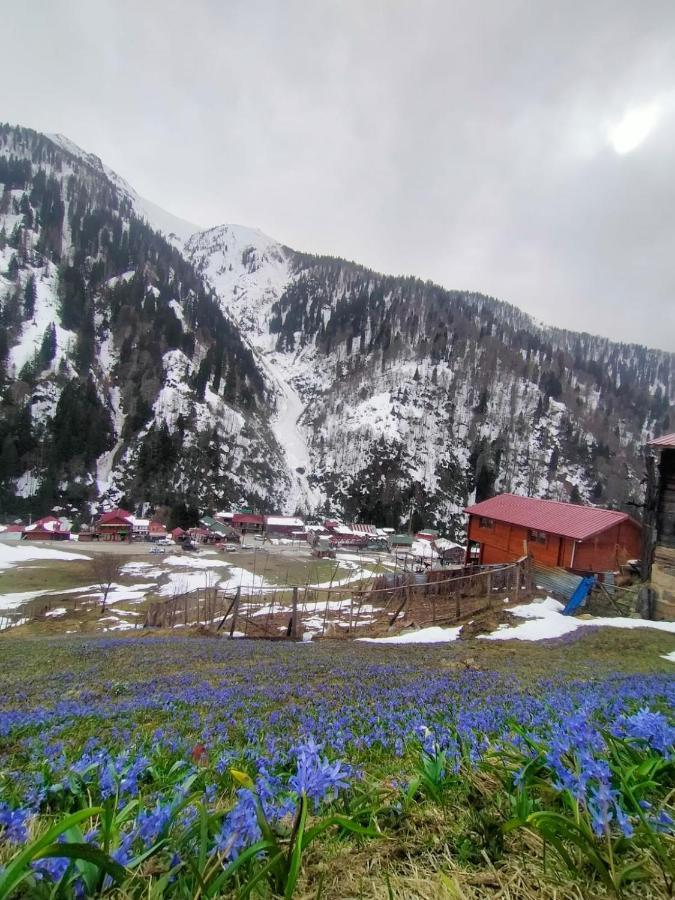 Ayder Yardimci Apart Екстер'єр фото